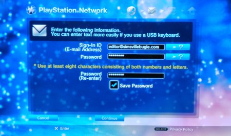 Screen Capture: PS3: PSN Login Details