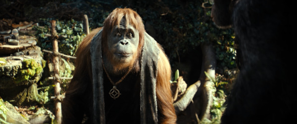 Still from Kingdom of the Planet of the Apes: Peter Macon as Raka