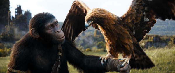 Still from Kingdom of the Planet of the Apes: Owen Teague as Noa