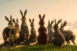 Still from Watership Down