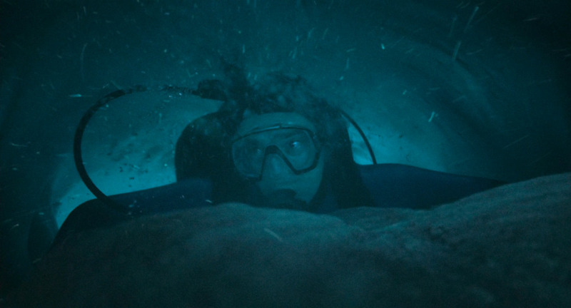 Still from Whalefall