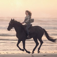 Poster for Disney+ Original Film Black Beauty