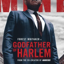 Poster for Godfather of Harlem