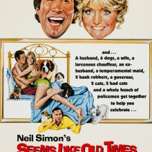 Poster for "Seems Like Old Times"