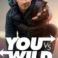 Poster for You vs Wild